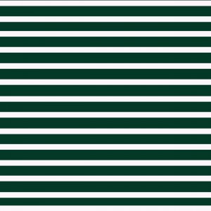 SACRAMENTO Stripes